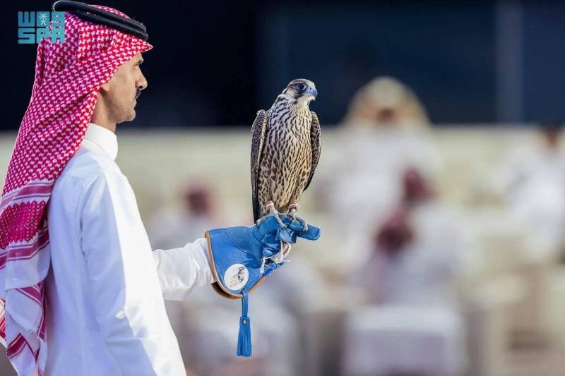 Successful Auction of Saudi Falcons