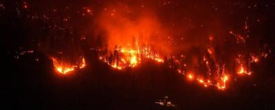 Intensification of Forest Fires in British Columbia