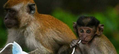 China Reports New Monkeypox Cases