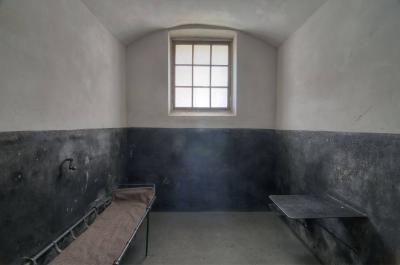 Trial of Pro-Government Fighter in the Netherlands