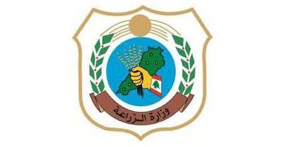 Ministry of Agriculture Monitors Average Wholesale and Retail Prices of Meat, Vegetables, and Fruits