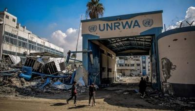 Germany to Resume Cooperation with UNRWA in Gaza