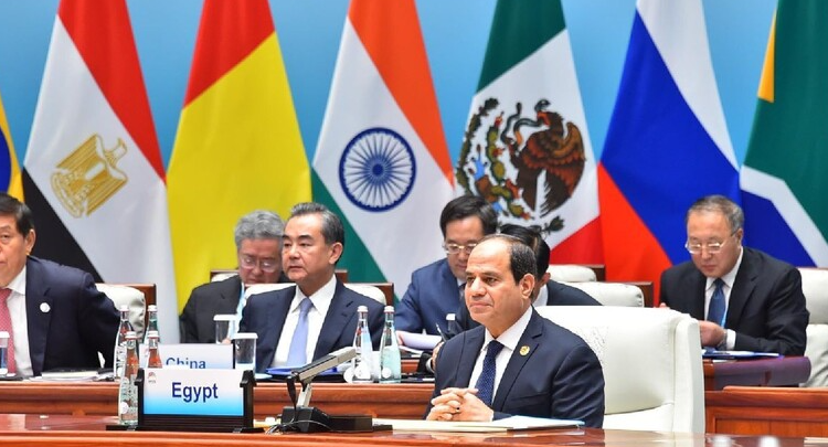 BRICS Experts Discuss Global Food Crisis