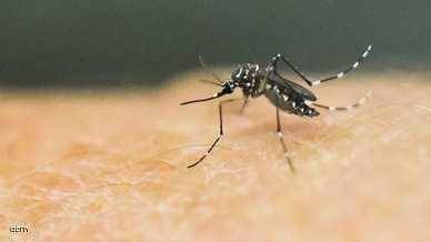 Global Warning of the Worst Viral Disease Season