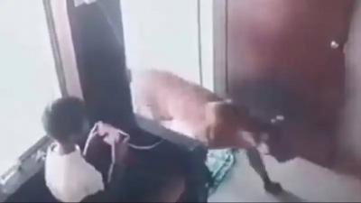 Title: Brave Boy Survives Close Encounter with Leopard