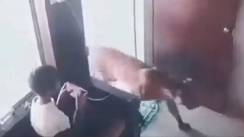 Title: Brave Boy Survives Close Encounter with Leopard
