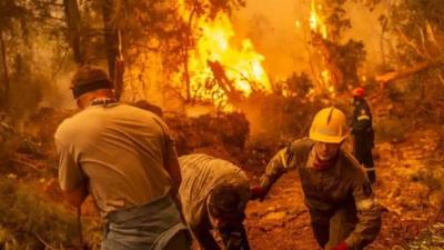 Devastating Fires Ravage Spain's Forests, Leading to Mass Displacement