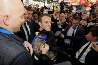 Farmers Prepare to Confront Macron at Paris Agricultural Show