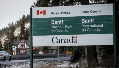 Grizzly Bear Kills Tourists in Canada