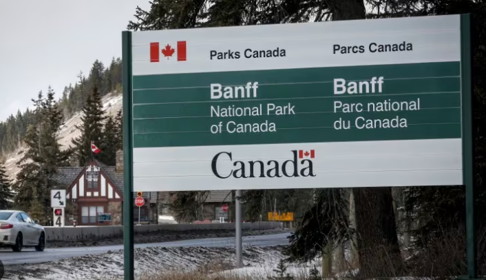 Grizzly Bear Kills Tourists in Canada