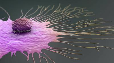 Innovation Reduces the Incidence of Common Cancers Among Men