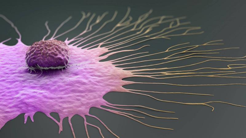 Innovation Reduces the Incidence of Common Cancers Among Men
