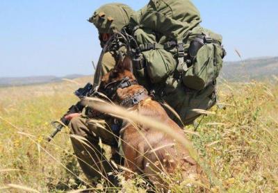 Title: Settler Dog Attacks Israeli Soldier