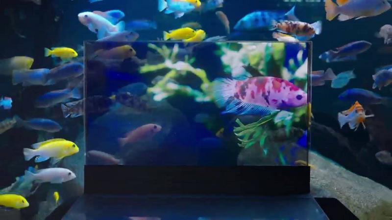 Lenovo Unveils First Laptop with Transparent Screen (Video)
