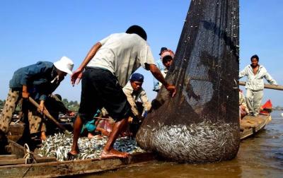 "Environmental Catastrophe": A Wake-Up Call from an Asian River