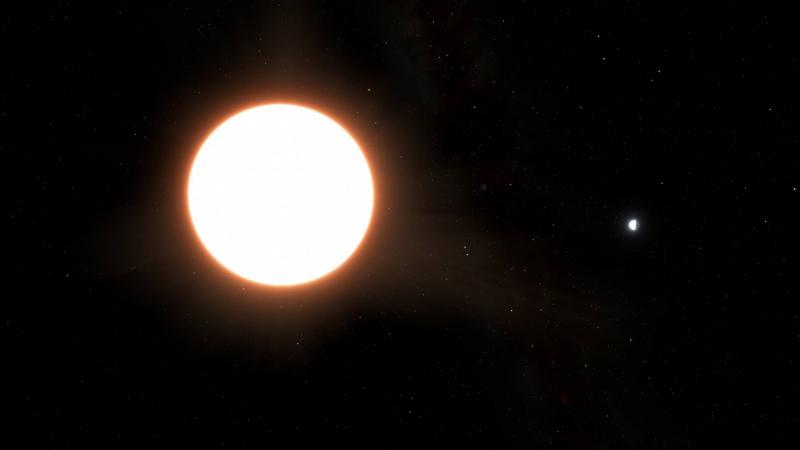 Giant Mirror in Space: Discovery of Strange Exoplanet
