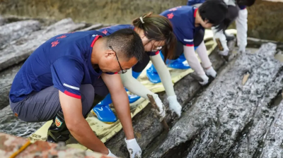 Precious Treasure Found in Ancient Chinese Tomb: What Is It?