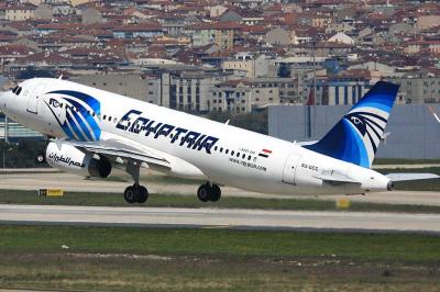 Birds Cause Egyptian Flight Cancellation and Passenger Disembarkation