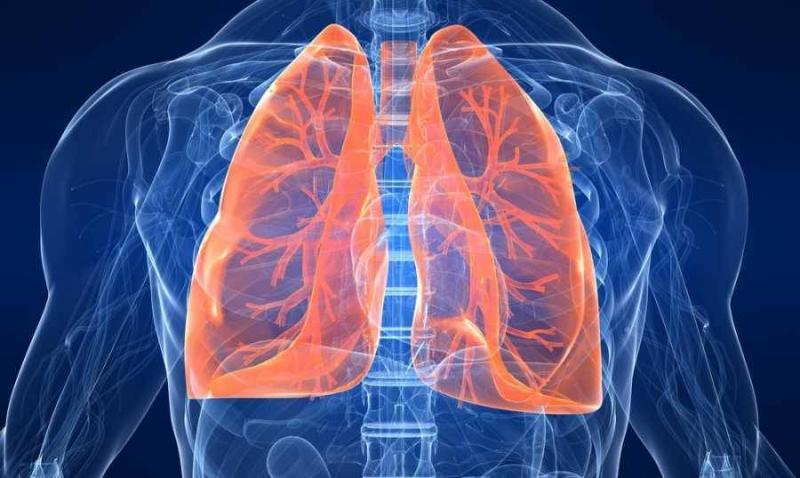 Foods for Lung Health: 5 Foods for Protection and Performance Improvement