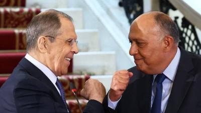 Egyptian Foreign Ministry Announces Shoukry's Visit to Moscow and Reveals Agenda