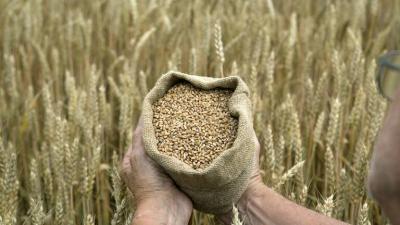 BRICS Deals a Major Blow to Grain Exporters in the West