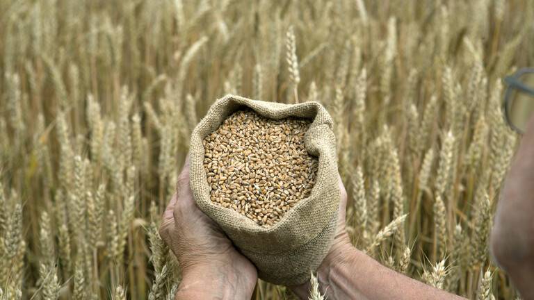 BRICS Deals a Major Blow to Grain Exporters in the West