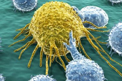 Medical Breakthrough: Daily Pills Destroy Cancer Cells