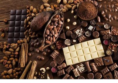 Who are the "Largest European Countries" in Chocolate Exports?