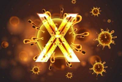 WHO Director: The Outbreak of "Disease X" is a Matter of Time