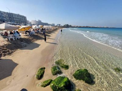 Egypt: Children Suffocate in Swimming Pool at a Famous Club