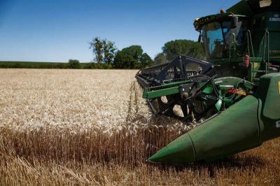 European Wheat Exports Shift to Morocco