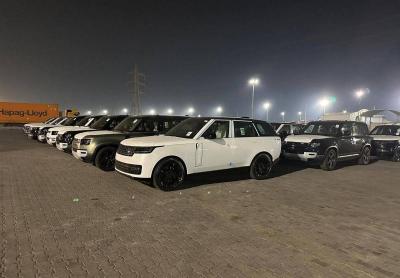 53 Vehicles Seized for Violating Import Regulations and Public Funds Wasted at Umm Qasr Port