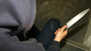 Crime Shakes the Suburb: Caretaker Stabbed to Death