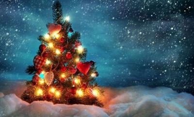 Images of a Supernova Star Like "Christmas Tree Decoration"!