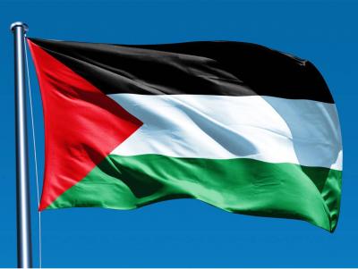 Aboul Gheit Heads to Moscow as Palestine Calls for Urgent Meeting