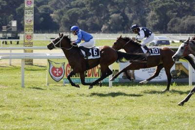 "Forour" Wins the Al Wathba Cup in Italy
