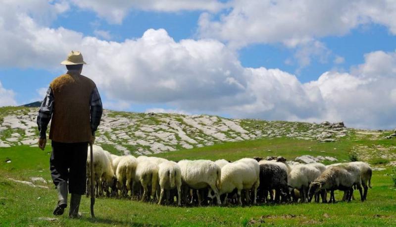 Pastures in Southern Lebanon: The Lost Interior and the Born Exterior