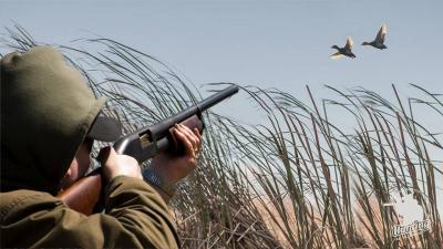 The Lebanese Environment: Let Them Pass Peacefully