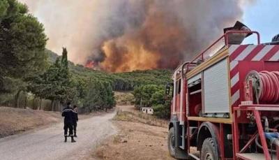 Tunisia Fully Contains Fires That Swept Through Several Areas