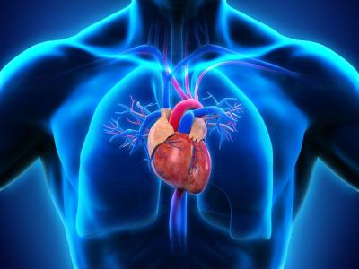 # Success of the World's First Partial Heart Transplant