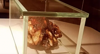 Duck at the Famous Luxor Museum Sparks Controversy