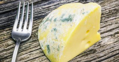What You Should Do with "Moldy Cheese" in Your Refrigerator