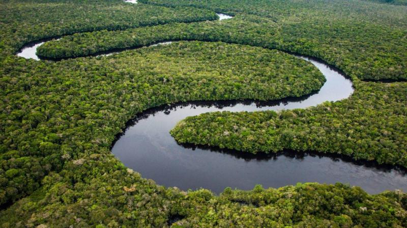 European Union Supports Plan to Protect Amazon Rainforests