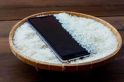 Title: Apple Warns Against Putting Wet Phones in Rice