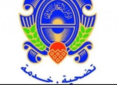 Title: "Seven Syrians Arrested in Sidon for Illegal Activity"