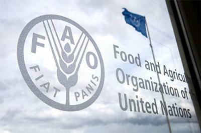 FAO Launches Biodiversity Conservation Project in Yemen