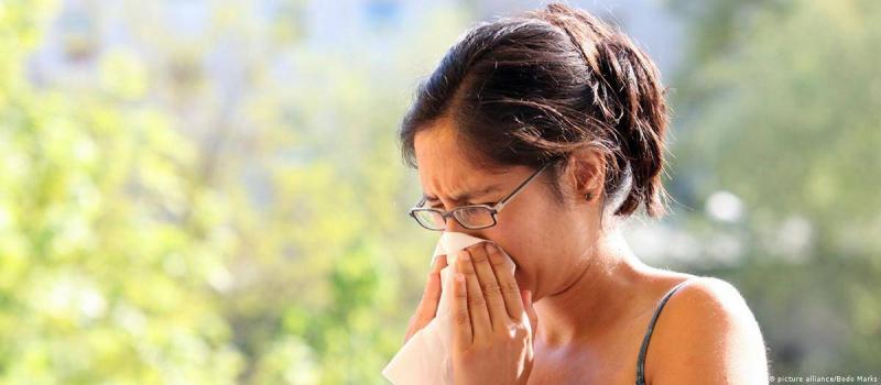 Why Has Seasonal Allergy Increased?
