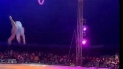 Fall of Performer During Circus Show in Egypt