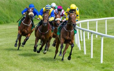 92 Horses in the Sixth Race at Abu Dhabi Equestrian Track