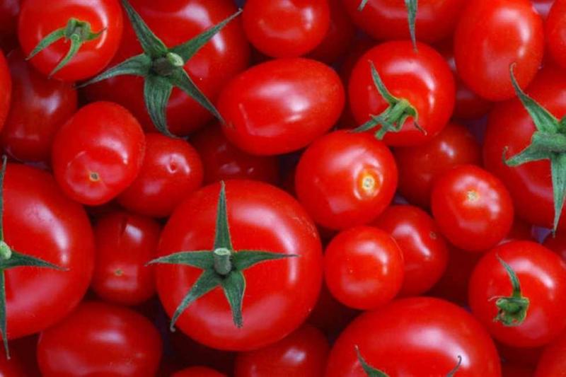A Tomato a Day Reduces High Blood Pressure?